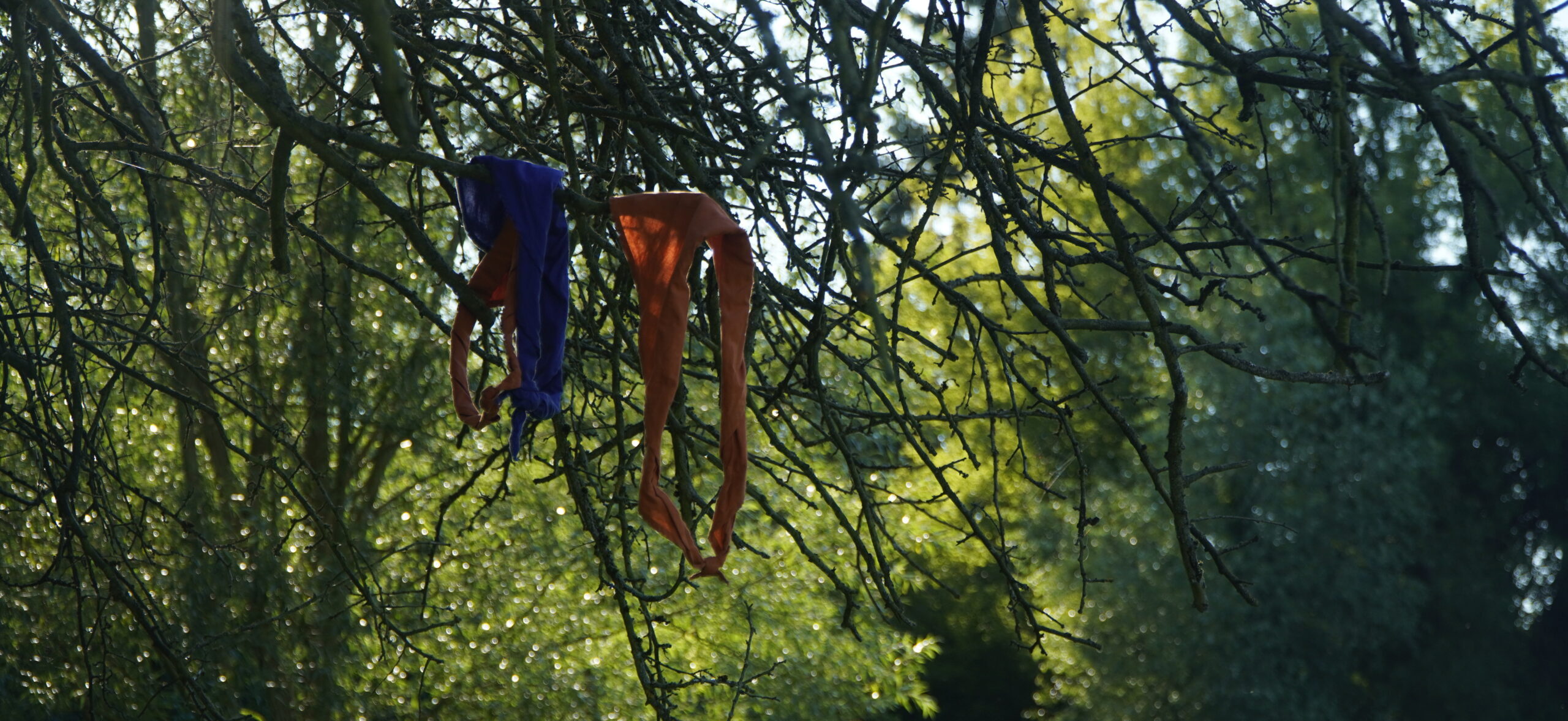 Zwei orangene und ein blaues Halstuch hängen an Zweigen im Baum. Im Hintergrund lassen sich schwarze Kohten erkennen.